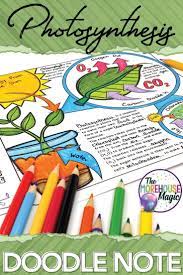 Photosynthesis Doodle Notes Science Doodle Notes Doodle Notes Science Doodle Notes Science Doodles
