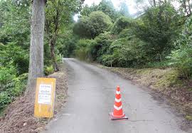 栗の名産地にサルやイノシシ…新潟県五泉市の栗園で栗拾い中止に 出没エリア拡大、対策に限界 | 新潟日報デジタルプラス