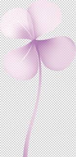 Planta de trebol morado en maceta soplada nº12. Trebol De Cuatro Hojas Trebol Morado Cinta Color Magenta Png Klipartz