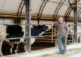 We didn't dump just got water. How Suffering Farmers May Determine Trump S Fate The New Yorker