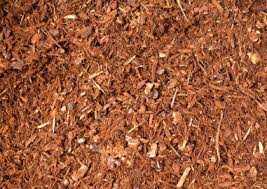 Fir bark dust is the most common bark dust and is a more economic alternative. Fresh Medium Fir Bark Valley Landscape Center