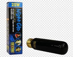 Incandescent Light Bulb Reptile Infrared Lamp Exo Terra Light Light Computer Hardware Terrarium Png Pngwing