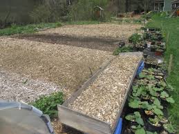 Our guide on starting a plant nursery covers all the essential information to help you decide if this business is a good match for you. Starting A Nursery Business Twisted Tree Farm