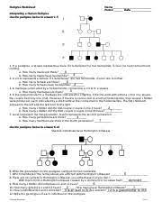 Pedigree charts introduction human pedigrees worksheet answers 241312 pedigree review worksheet human pedigrees worksheet 274330 pedigrees practice the biology corner human pedigrees worksheet answers 673952 how to solve pedigree probability problems human. Kami Export Pedigree Worksheet Pdf Pedigree Worksheet Jenica Hancock Name 6 Period Date Interpreting A Human Pedigree Use The Pedigree Below To Course Hero