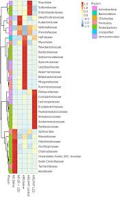 Lingguizhugan Decoction Attenuates Diet Induced Obesity And