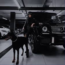 Pin By Ulianaholovka On Aesthetic In 2020 Doberman Doberman Dogs Doberman Puppy