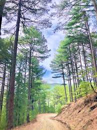 Dünyanın en önemli oksijen kaynaklarından biri olan kaz dağları, doğal çevrenin kaz dağları gezilecek yerleri. Kaz Daglari Izlenimleri Rotalari Ve Efsaneleri Yolculuk Terapisi