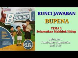 We did not find results for: Bupena 3c Tema 6 Subtema 4 Youtube