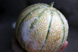 The Melon Washer David Lebovitz