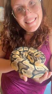 Love my boy Morrison. He makes the perfect lapsnake