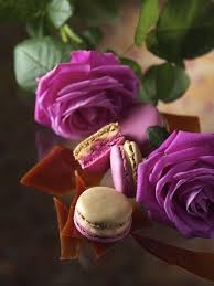 pierre herme paris on twitter macarons macaroons desserts