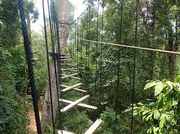 Taman rekreasi permai atrodas shah alam. 15 Tempat Rekreasi Di Selangor Extreme Santai Dan Penuh Aktiviti Ammboi