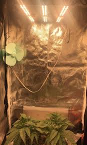 We did not find results for: Best Led Grow Light Strips 9 Factors To Consider 2020 2021 420 Big Bud