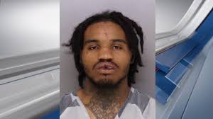 Olympic medalist Nick Goepper returns home for celebration at Perfect North