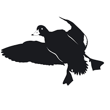 See more ideas about duck silhouette, duck, silhouette. Flying Duck Cupped And Feet Down Hunting Decal Duck Flying Cupped And Feet Down Hunting Sticker 7041