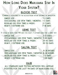 How long does weed stay in your hair? How Long Does Marijuana Stay In Your System Civilized Life Things To Know Before You Get This Creations School
