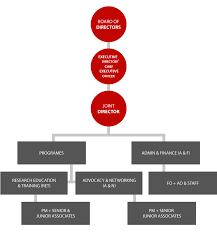 Organizational Structure Piler