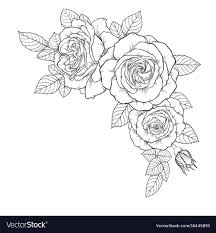 Beautiful Black And White Bouquet Rose And Leaves Vector Image On Vectorstock Black And White Roses Roses Drawing Rose Illustration