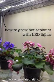 Growing plants under lights indoors are something you might have heard about but haven't attempted. Can Plants Grow Under Led S Absolutely They Are The Best Type Of Grow Lights For Indoor Plants Here Is A Full How To T Plants Growing Plants African Violets