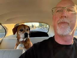 Cruising with grand dog as co-pilot