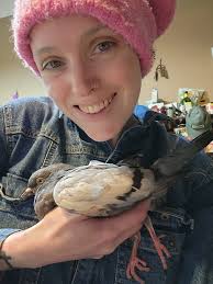 What ramps can help a disabled pigeon access high surfaces?