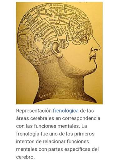 Juan José Sanguineti - Filosofía de la mente: Un enfoque ontológico y  antropológico Acceso:  https://dn721609.ca.archive.org/0/items/filosofia-de-la-mente.-un-enfoque-ontologico-y-antropologico-juan-jose-sanguineti/Filosofia%20de%20la%20mente.%20Un  ...