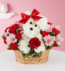 Shop 1800flowers for bonsai tree delivery! Love Pup