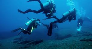 Scuba Diving In Florida Keys A Paradise For Divers By Holiday Genie