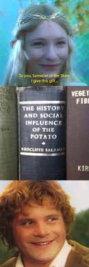 Better Than Some Lousy Old Rope In 2020 Lotr Funny Hobbit Memes Lotr