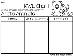 arctic animals reader plus kwl charts venn diagrams worksheet