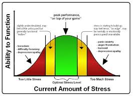 what is stress office of stress management