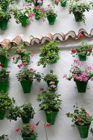 Patio Cordobes Garden Wall Plant Wall Hanging Garden