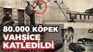 Istanbul Da 80 Bin Kopegin Katledildigi An Youtube