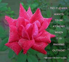 Pin On Nature Quotes