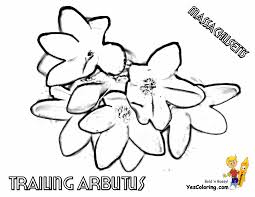 We did not find results for: Easy Flower Drawing For Kids With Names Novocom Top
