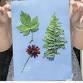 Nature Art