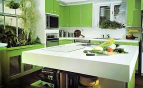 within gorgeous lime decor color