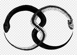 Round Black Logo Homunculus Fullmetal Alchemist Alchemy Ouroboros Symbol Otaku Logo Sign Alchemical Symbol Png Pngwing Fullmetal alchemist, fullmetal, alchemist, brotherhood, fullmetal alchemist brotherhood, fmab, edward elric, alphonse elric, rockbell, automail, alchemy, otaku, japan, anime, manga, logo, symbol, insignia, emblem, subtle. alchemical symbol png