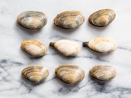 A Guide To Clam Types And What To Do With Them Serious Eats