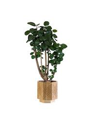 This round standing plant pot in a deep dusty pink tone comes with a matching pink iron stand, and looks so good with green foliage. Indoor Planter On Stand Solid Oak Planter Bertram Whitford