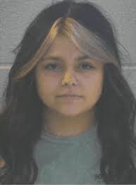 Woman Arrested in Pulaski County After Deadly Crash