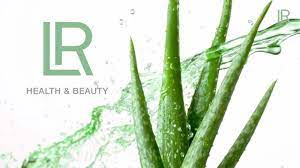Find out all about the company lr health & beauty, the lr business model with its career opportunities and the beauty and health products. Lr Health Beauty Petycoat Exklusives Zubehor Fur Hund Katz Pferd