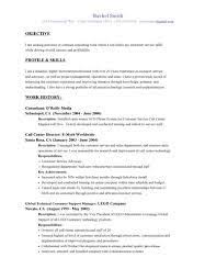 resume summary examples for client services