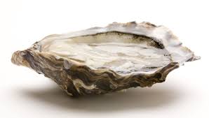 Huitre Speciale De Claire Marennes Oleron Igp Oysters Crustaceans Pie Dish