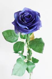 We're family owned and operated, and committed. Artificial Blue Roses For Weddings Fake Flowers Colorful Faux Flowers Diy Wedding Flowers Bouquet