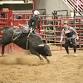 Rough Stock Practice event image