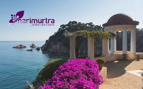 Se 1.733 anmeldelser, artikler og 2.435 billeder fra jardí botànic marimurtra, nr.1 på tripadvisor af 24 seværdigheder i blanes. Marimurtra Botanical Garden In Blanes Costa Brava Stage Run