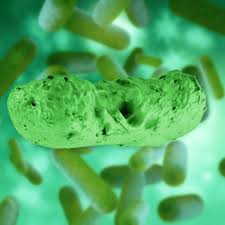 Iata acum si adevarata istorie a vaccinului impotriva hepatitei b si de ce il gasim in toate dozele. Hepatita B