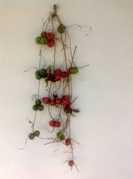 Image result for Diplocyclos