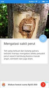 The top countries of suppliers are taiwan, china, china, from which the percentage of. Manfaat Kayu Gaharu For Android Apk Download